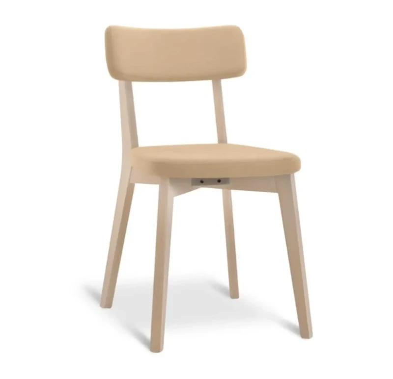 Modern Chair Made of Beech Wood