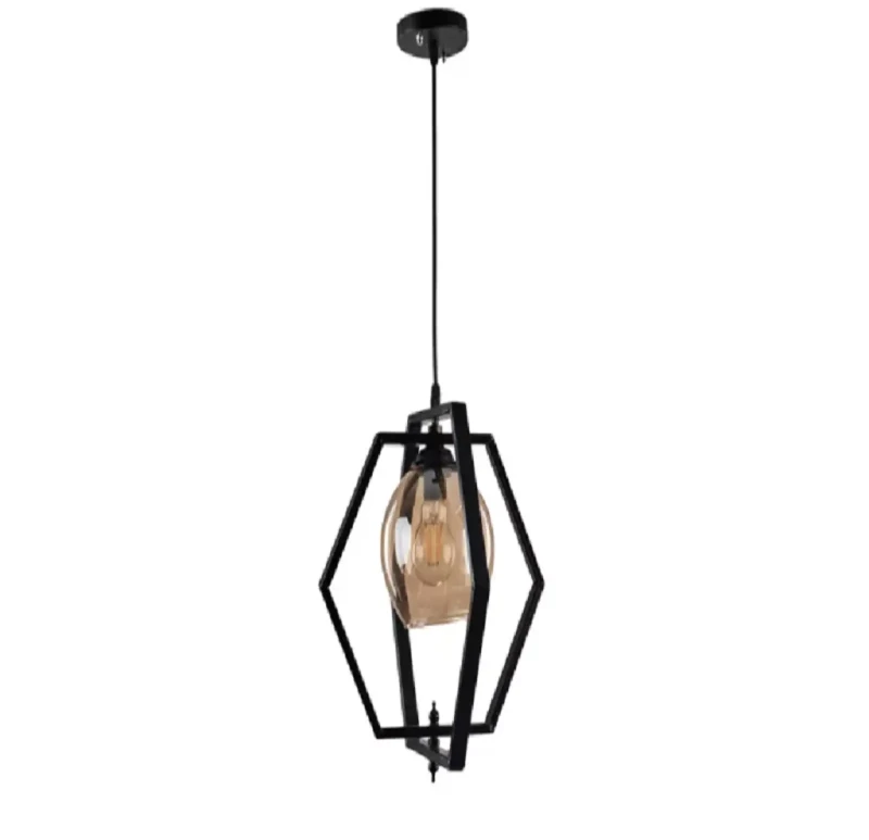 Modern Ceiling Lamp 1 Bulb
