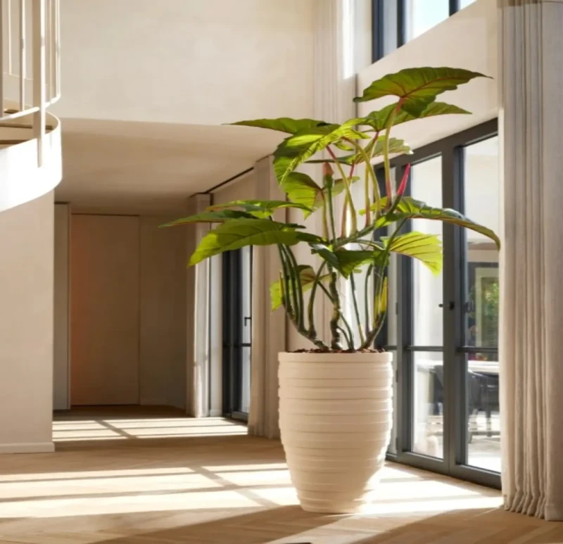 Artificial  Elephant Tree Plant Pot