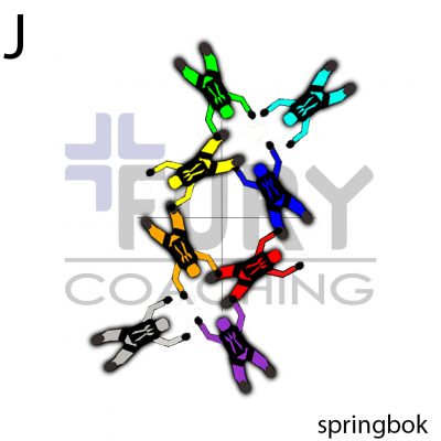 J-Springbok-setup