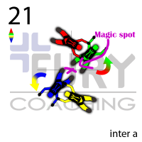 21-intera magic spot