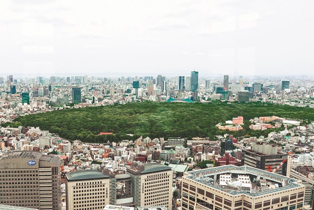 安藤忠雄揪50萬人 種樹引風 吹涼東京 未來城市 天下 進步城市的新想像