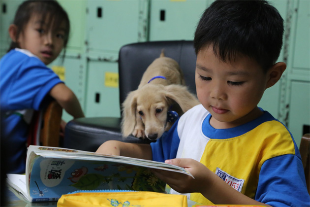 新北市不少國小認養了動物之家的流浪犬，與小朋友一起編班、上課，從小培養動保觀念。