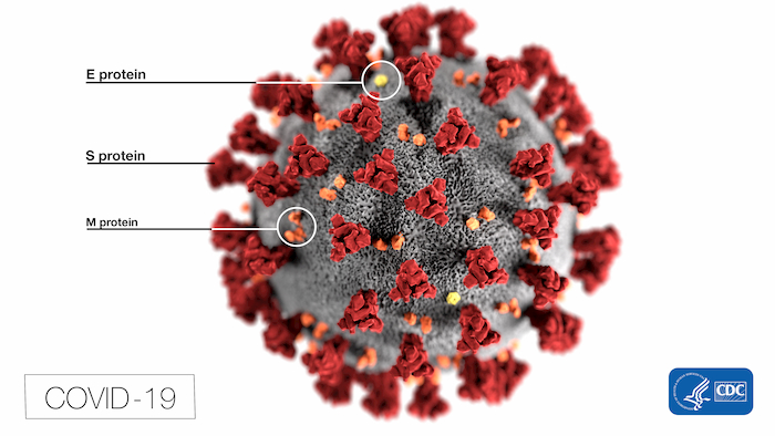 美國CDC模擬的新冠病毒