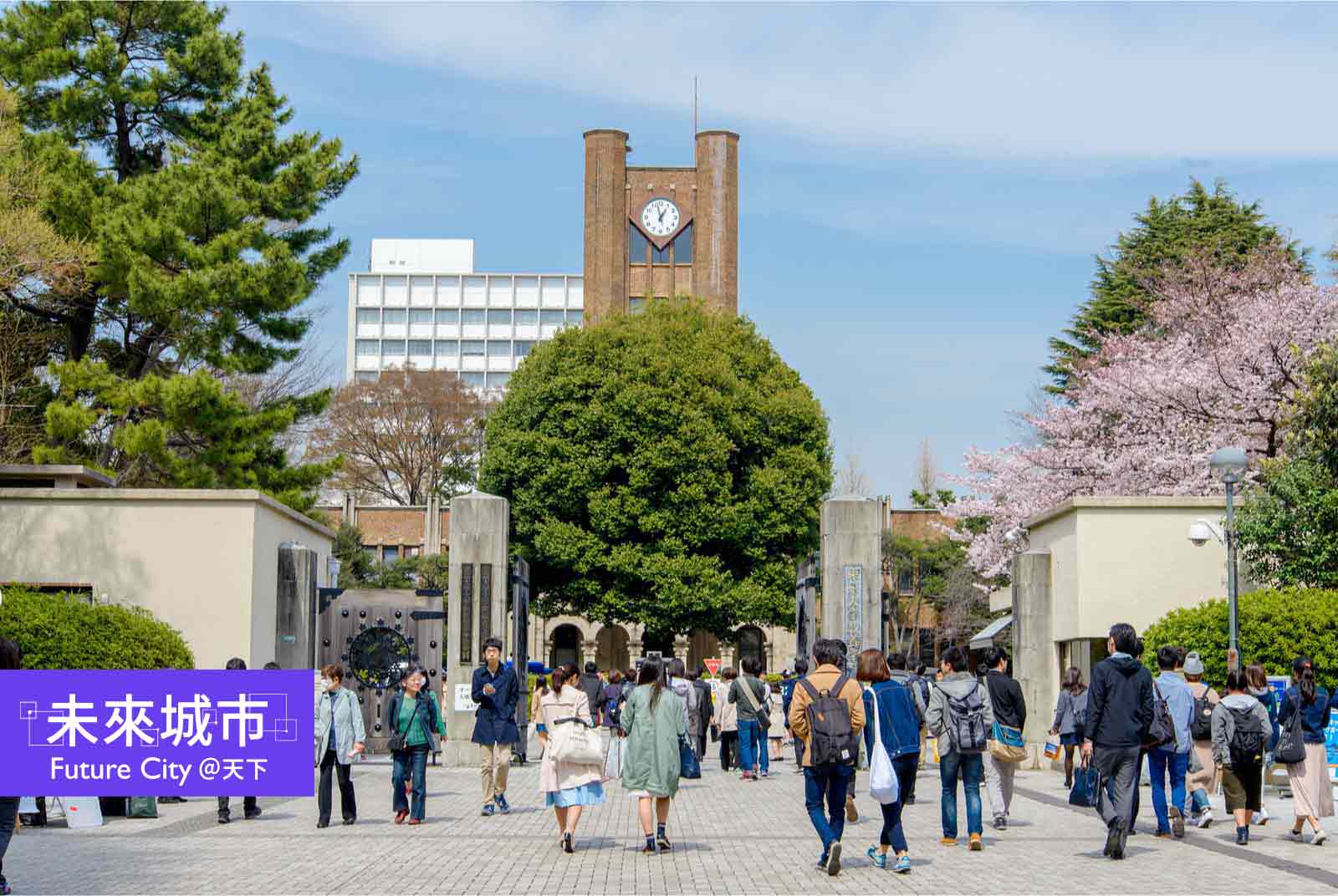 名校為何把「社會貢獻」放官網首頁？向日本學後疫情大學SDGs新定位