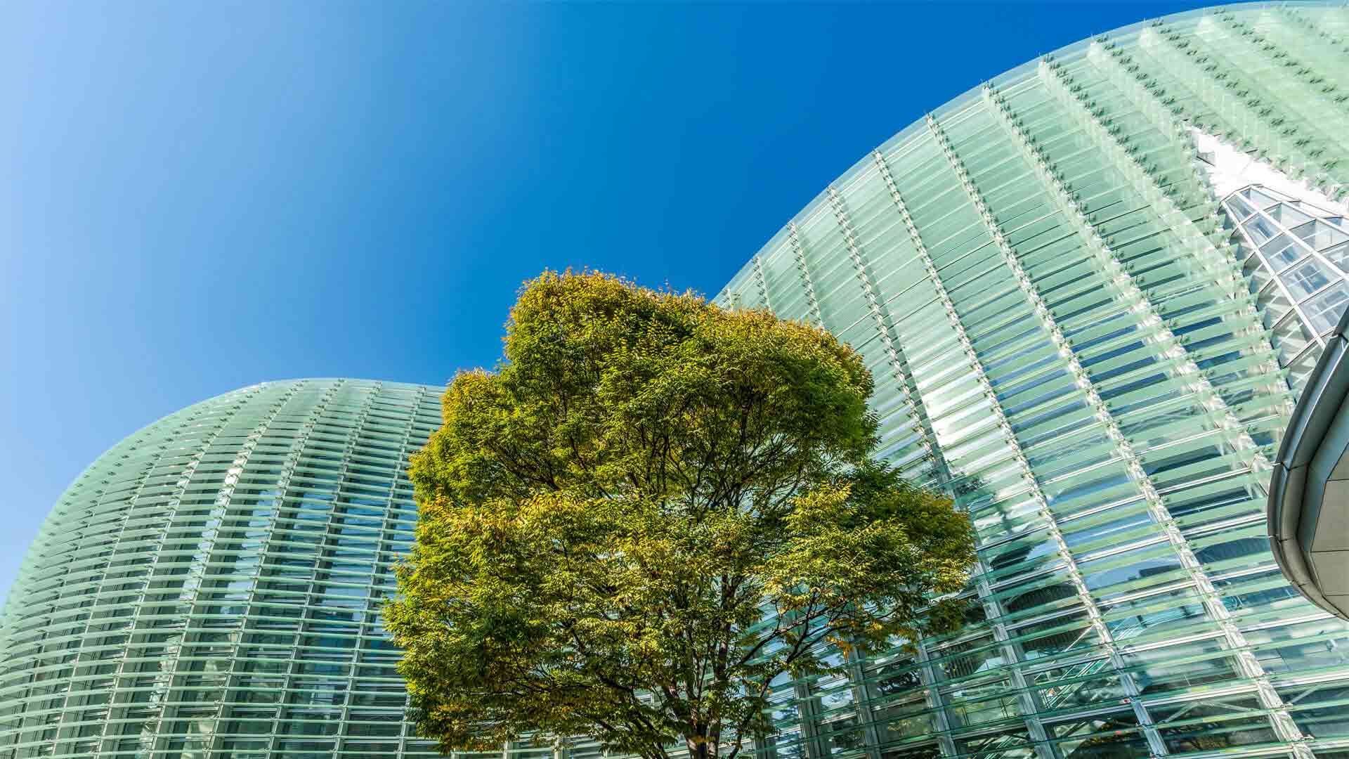 東京用科技打造 超級生態城 未來城市 天下 進步城市的新想像 東京用科技打造 超級生態城 未來城市 天下 進步城市的新想像