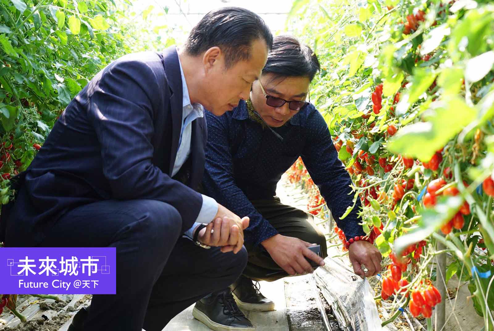 當氣候變遷、農民減少,嘉義如何用智慧科技解決農業危機?