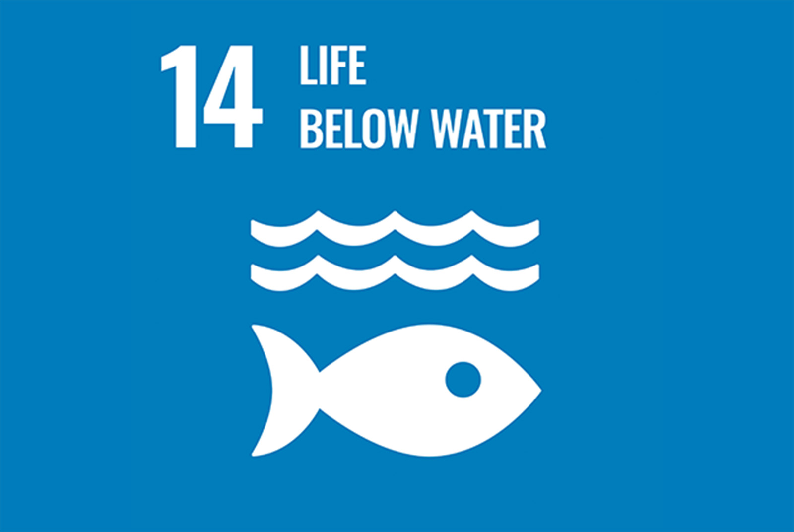 SDGs 目標14｜保育及永續利用海洋生態系，以確保生物多樣性並防止海洋環境劣化