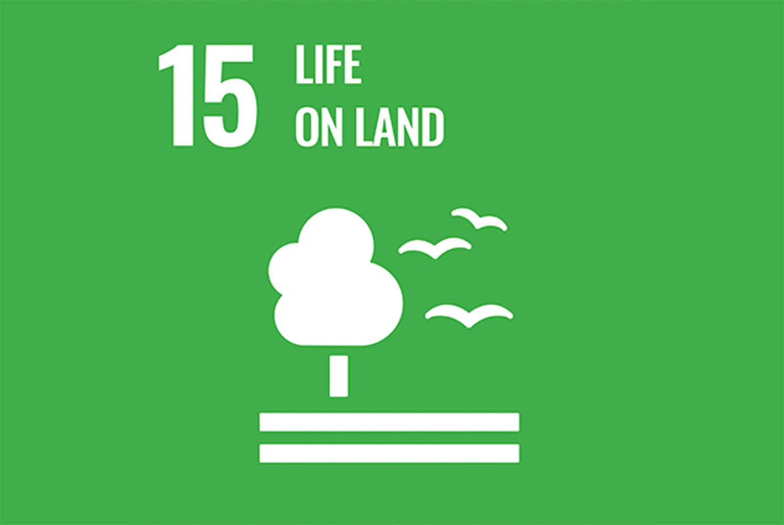 SDGs 目標15：保育及永續利用陸域生態系，以確保生物多樣性，並防止土地劣化。