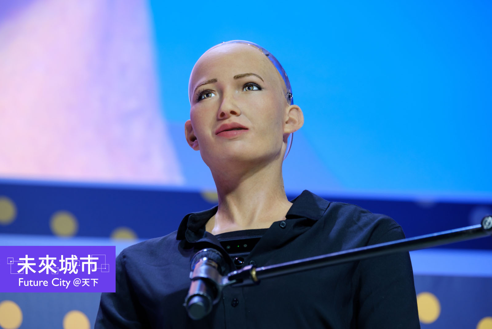 類人類AI機器人「索菲亞」是全球首位獲得國家公民身份的機器人。