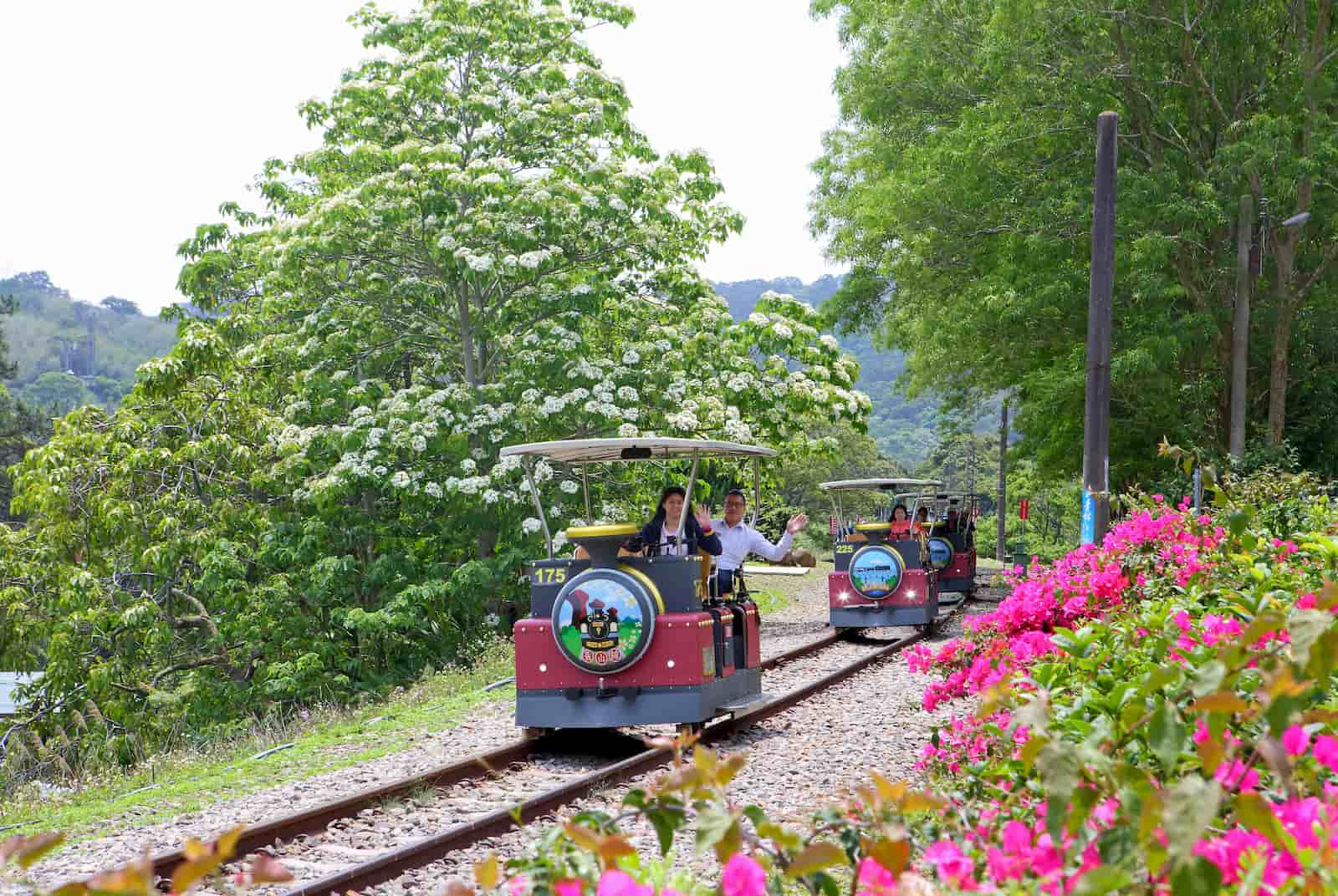 騎乘鐵道自行車，飽覽舊山線鐵道風光