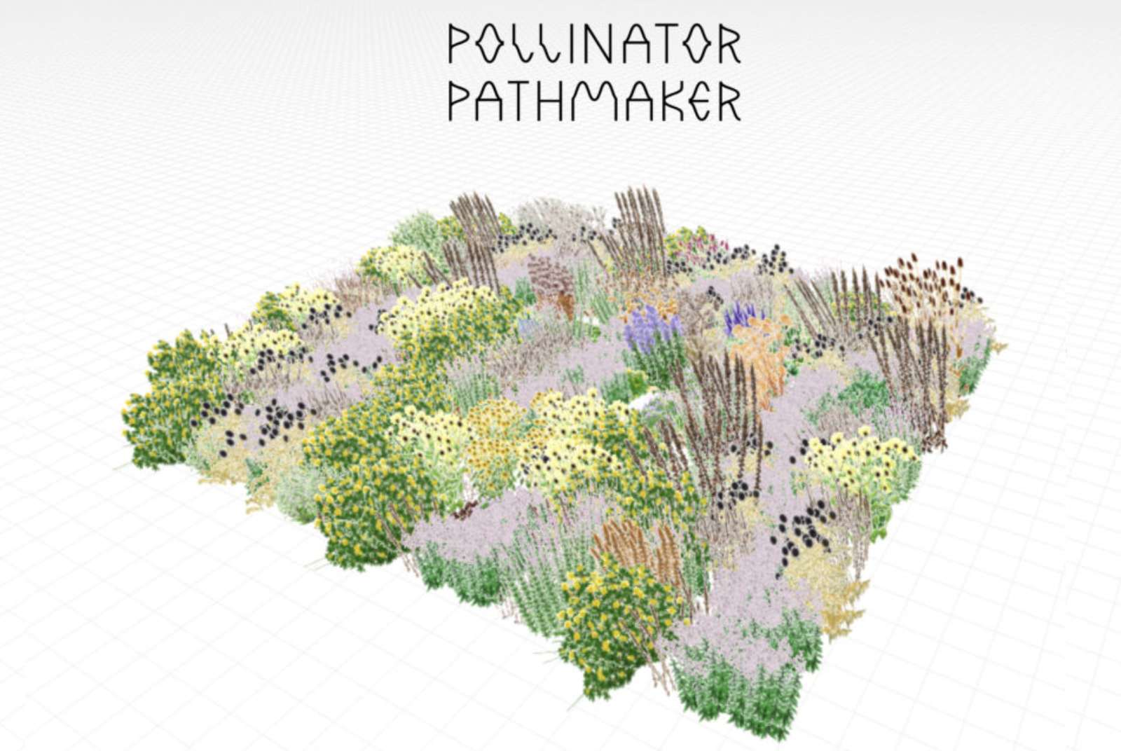 使用者可透過「授粉路徑創造者」生成的園藝構圖，作為種植的參考方向。