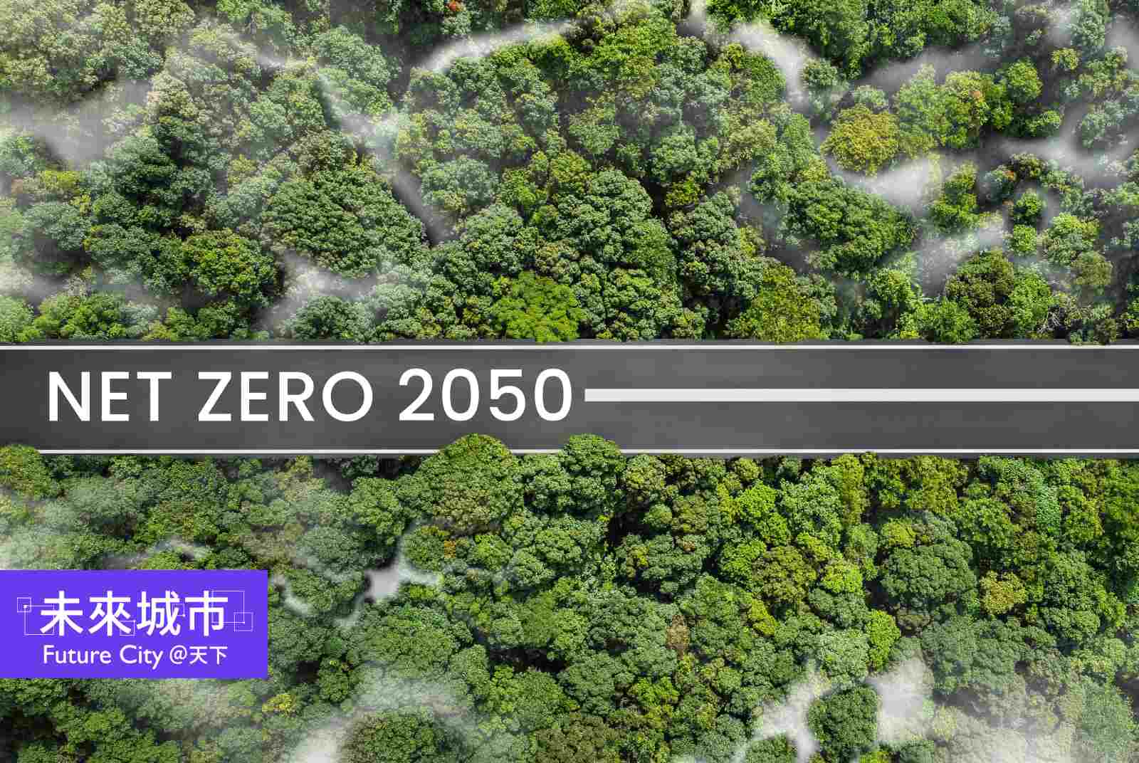 2050淨零轉型,哪些縣市已有淨零轉型自治條例?減碳進度如何?
