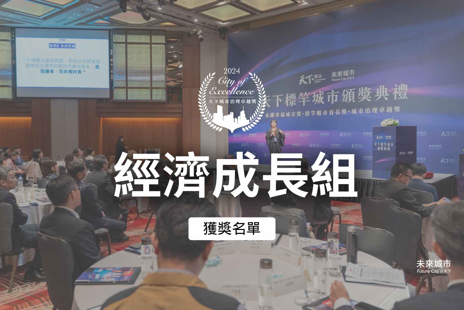 2024｜經濟成長組獲選案例