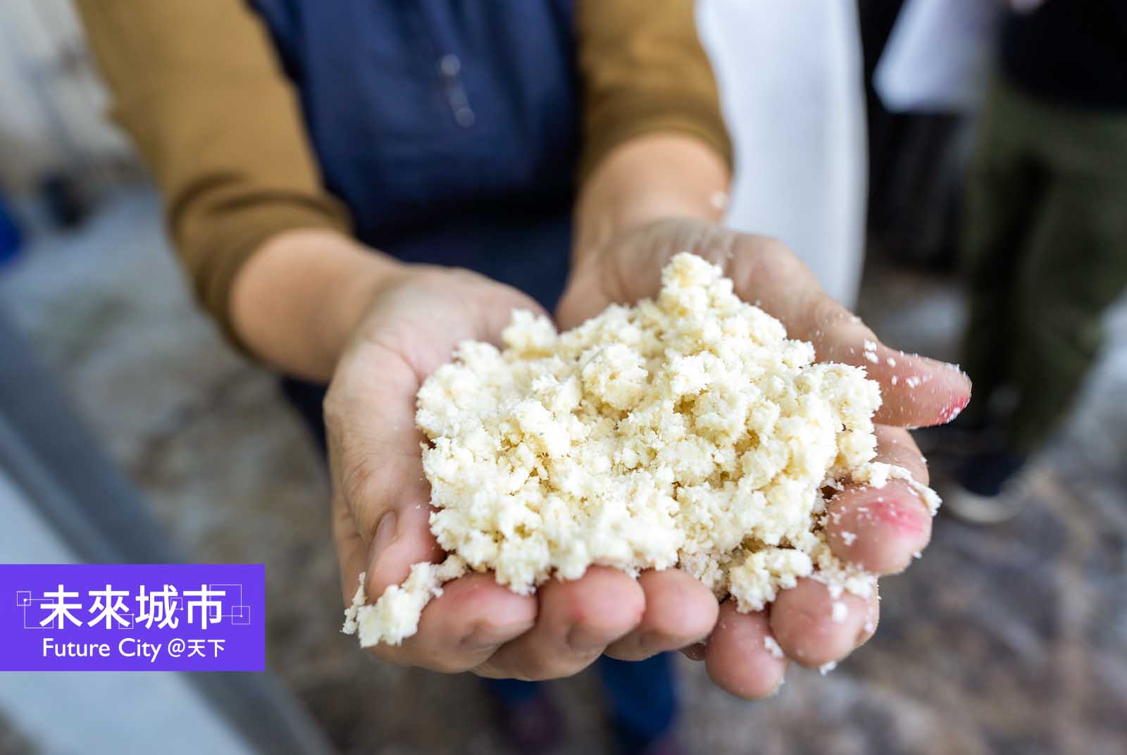 豆渣大變身！珍珠、貓砂都是它　桃園產官合作年省5億清運費
