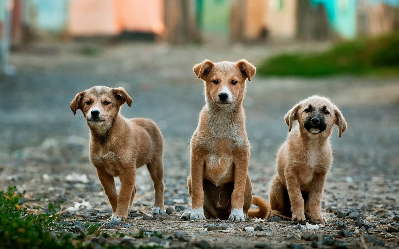 圖片來源：Unsplash