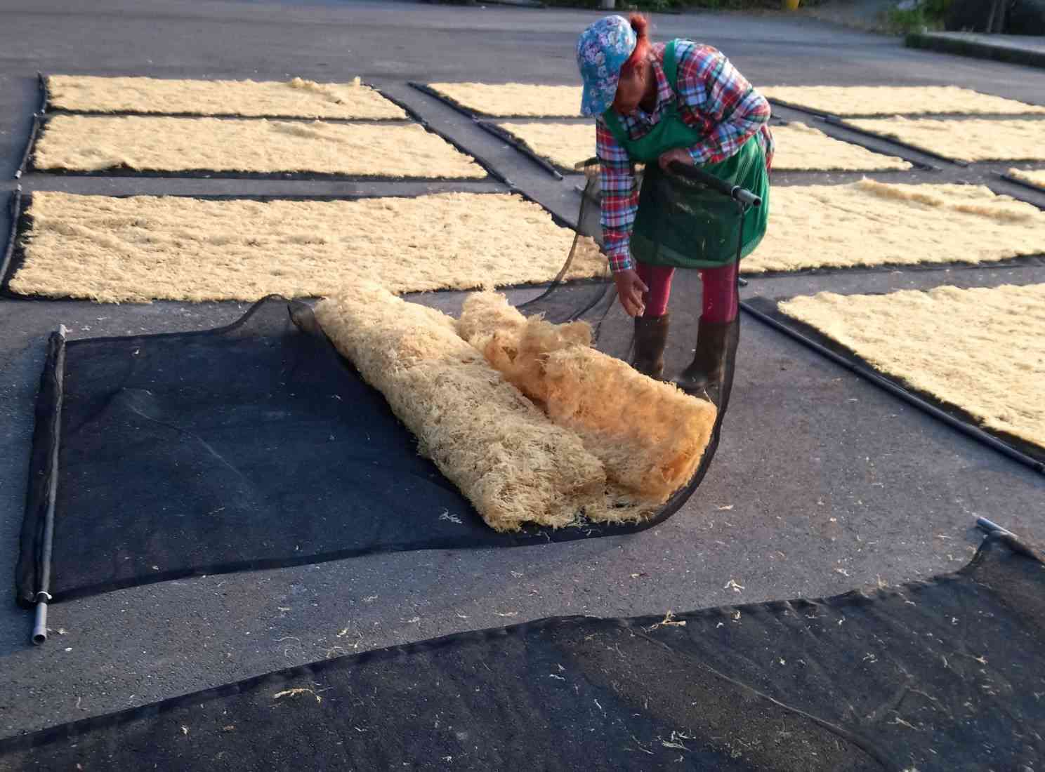 創立「AGAR-AGAR鳳尾脆梅石花凍」之前，黃偉傑深入了解傳統產業目前面臨的窘境，同時請教在地的海女婆婆、海男叔叔採集步驟。