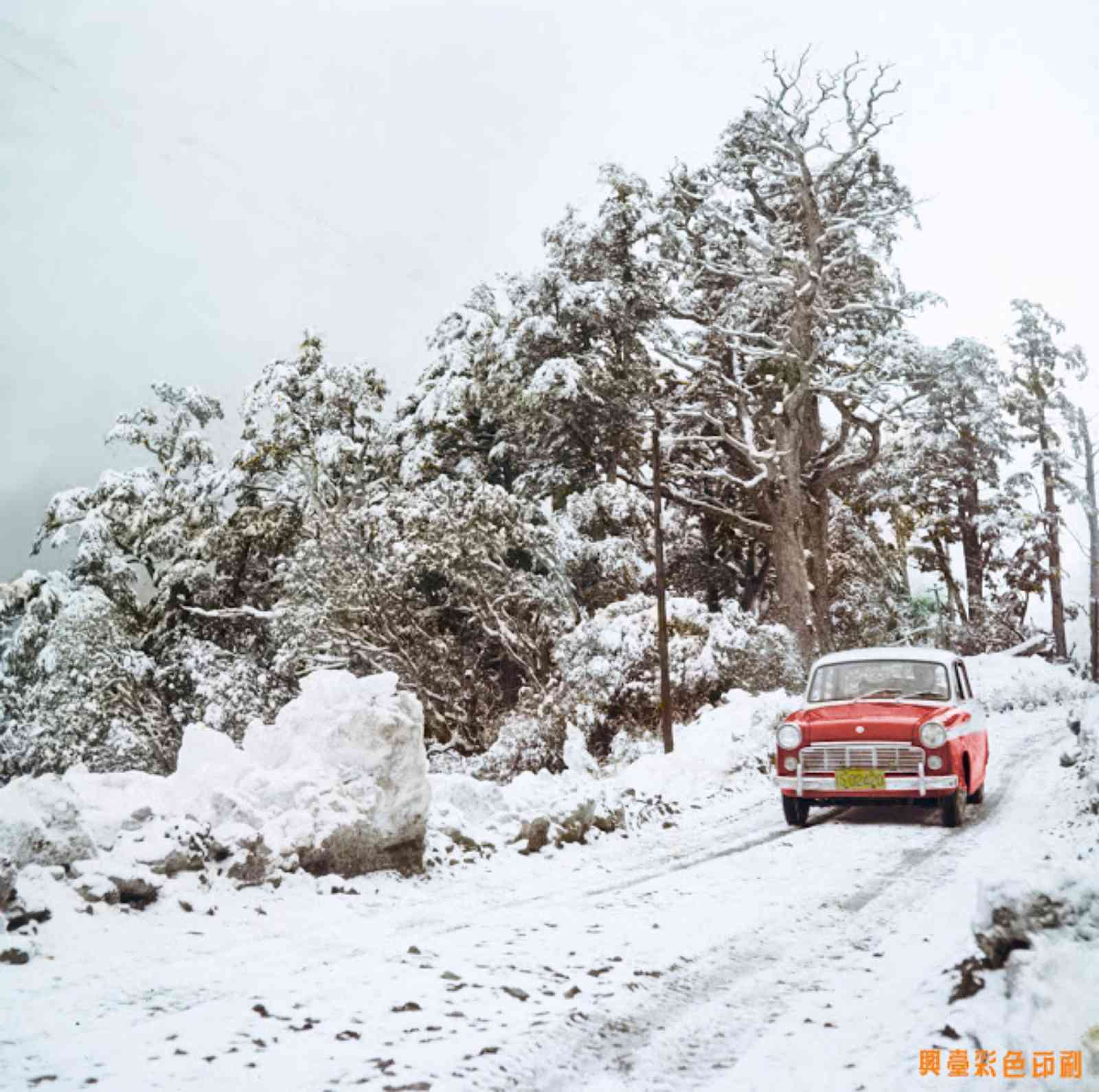 1960年代，合歡山每年約有兩個月的積雪期。圖片來源：興台彩色印刷 創辦人陳耿彬拍攝