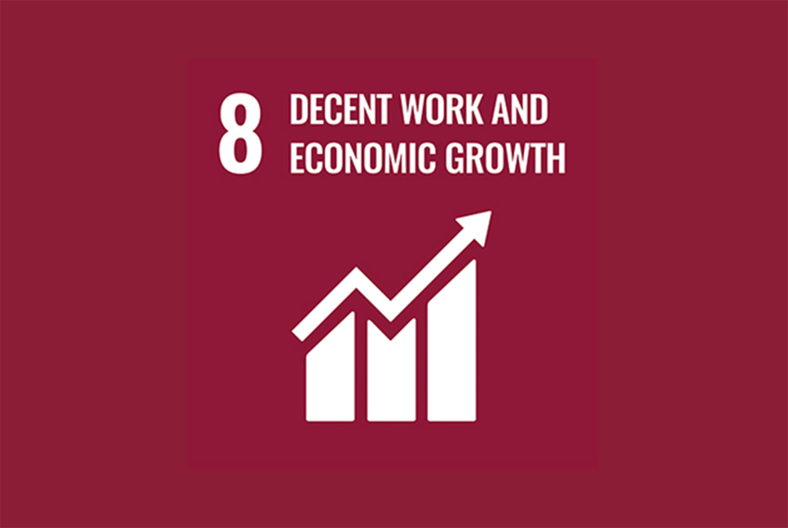 聯合國永續發展目標-SDGs-目標8-細項-實例-促進經濟成長