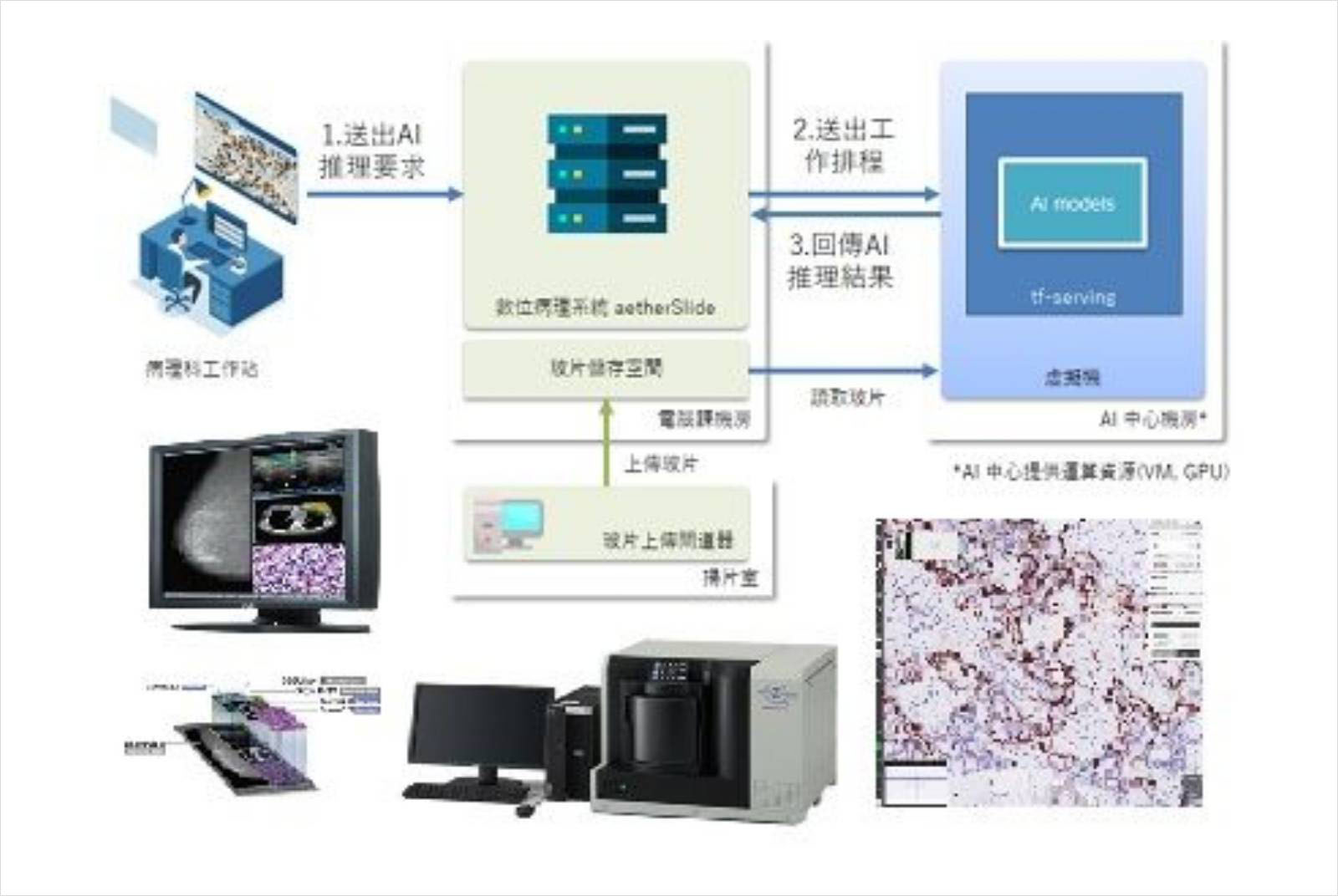 林口長庚解剖病理部：導入AI輔助診斷，大幅提高病理數據可用性與診斷精確性