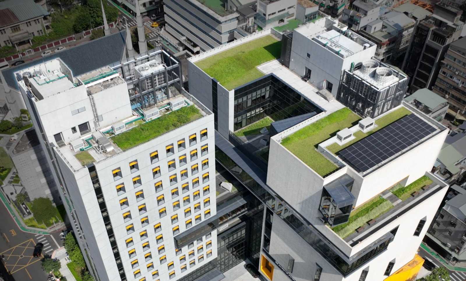 政大公企中心-綠屋頂-節能減碳-景觀-園藝-建築-綠化-療癒-熱島效應-降溫-城市規劃-城市景觀-屋頂花園