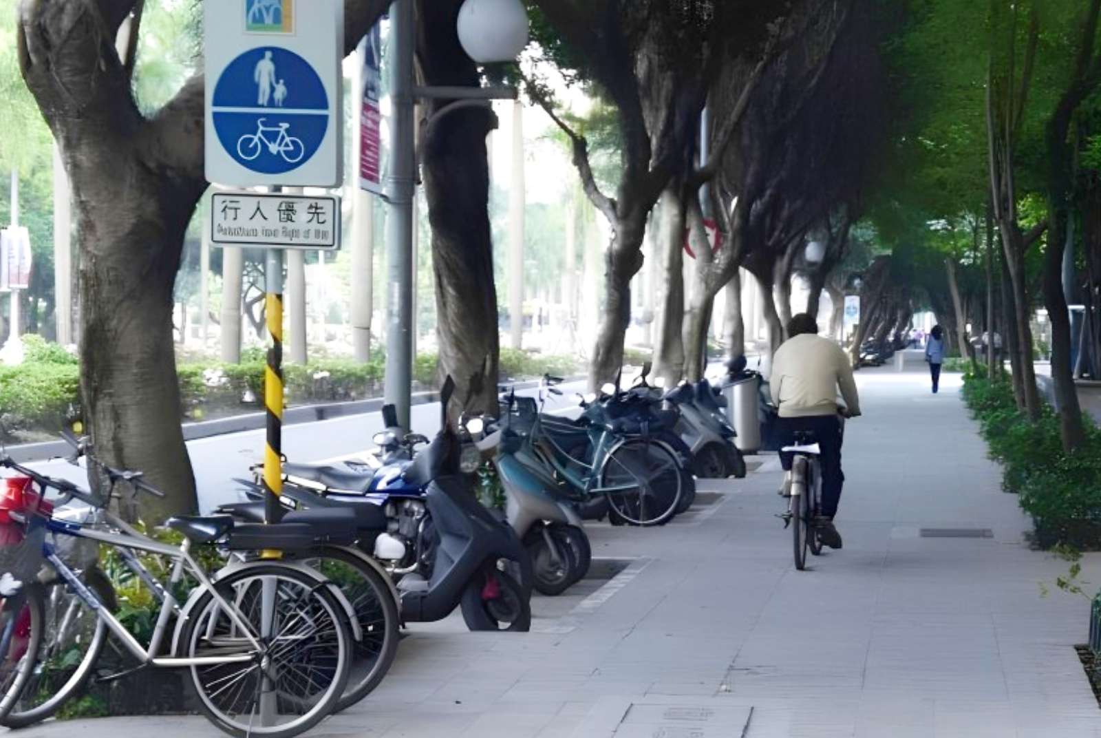 自行車道-台北市-YouBike-行人自行車共用道-交通-自行車優先道-行人安全