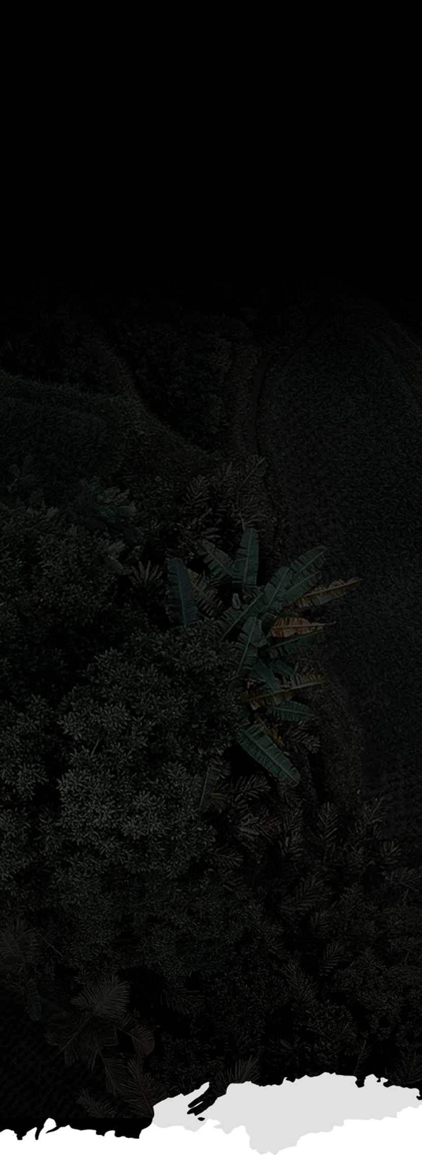 new-bg-top-v2
