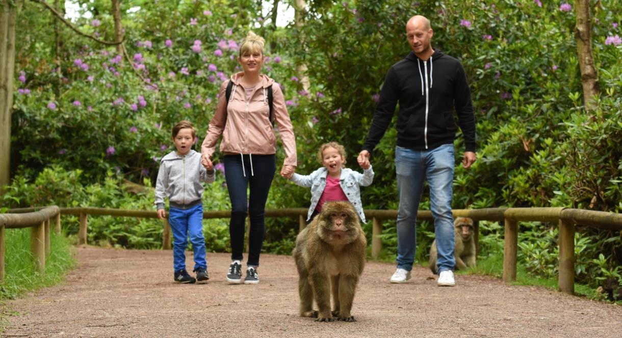 Top 7 Family Friendly Activities to do while you're in Bali