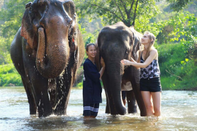 3 Best Elephant Sanctuaries To Visit In Chiang Mai