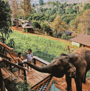 Chiang Mai Elephant Sanctuary Thailand