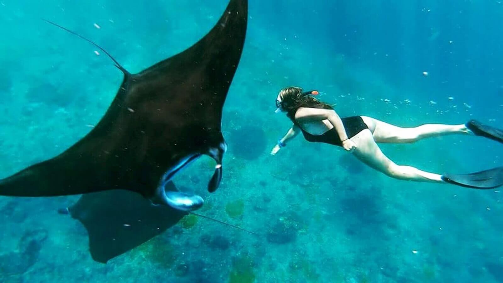 Swim with manta rays in Nusa Penida