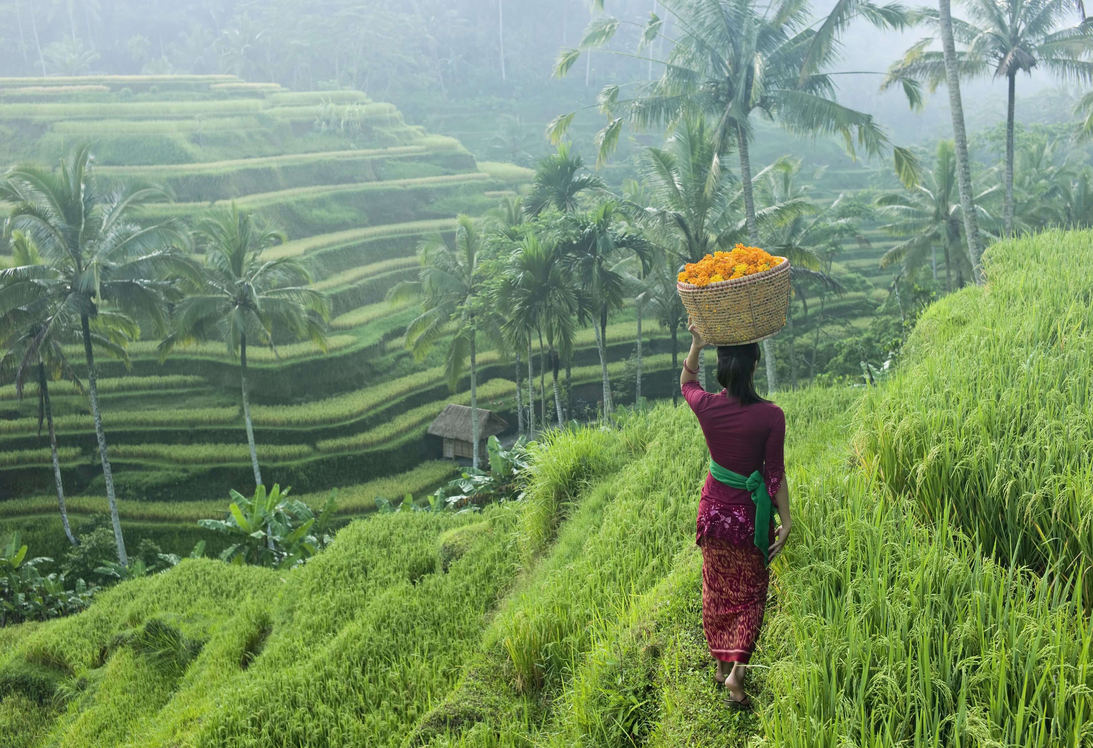 bali tourism season