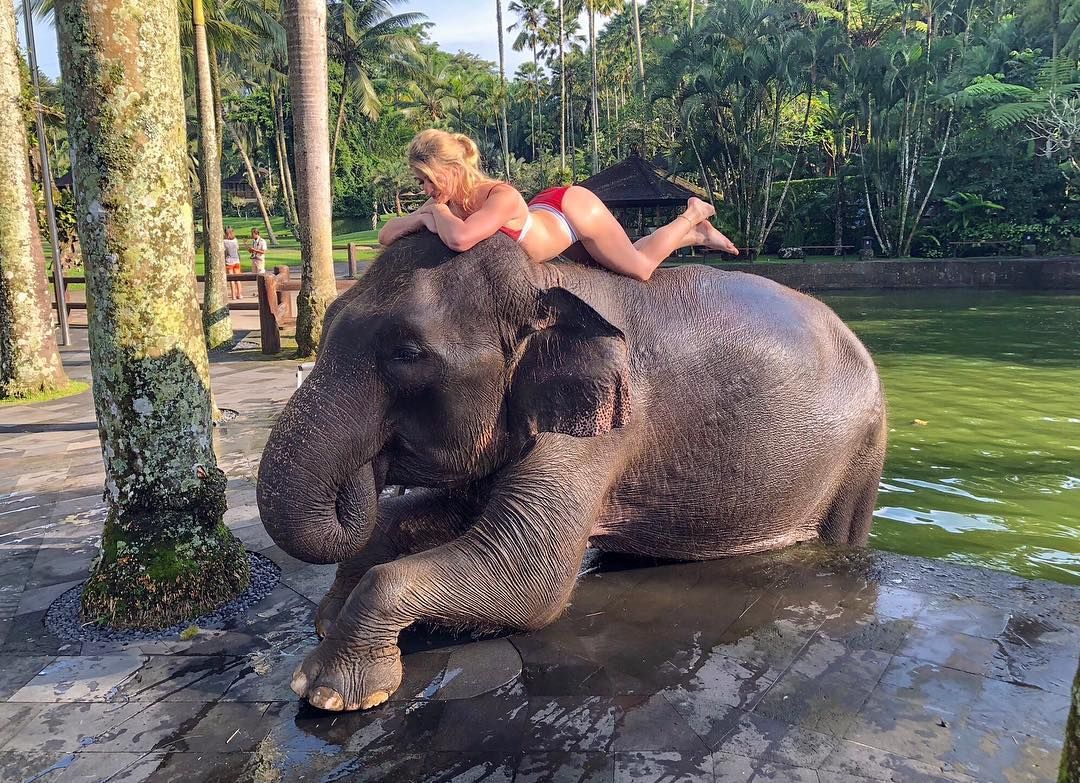 Bali Elephant Bath & Breakfast Day Tour