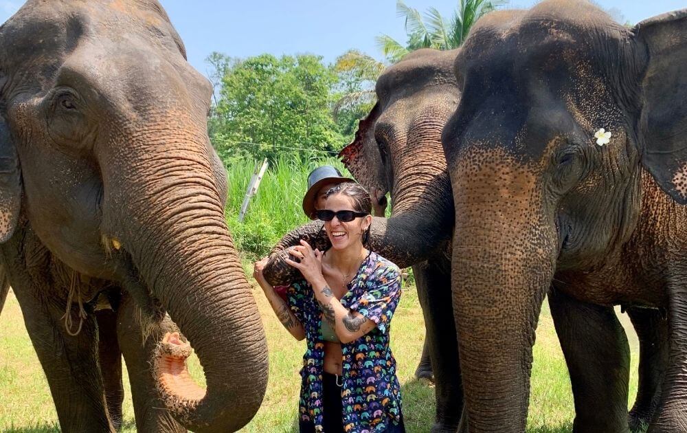 Ethical Elephant Sanctuary Experience Chiang Mai Elephant Tour