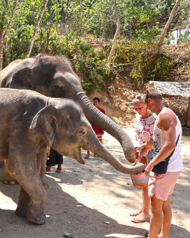 ethical elephant tour phuket