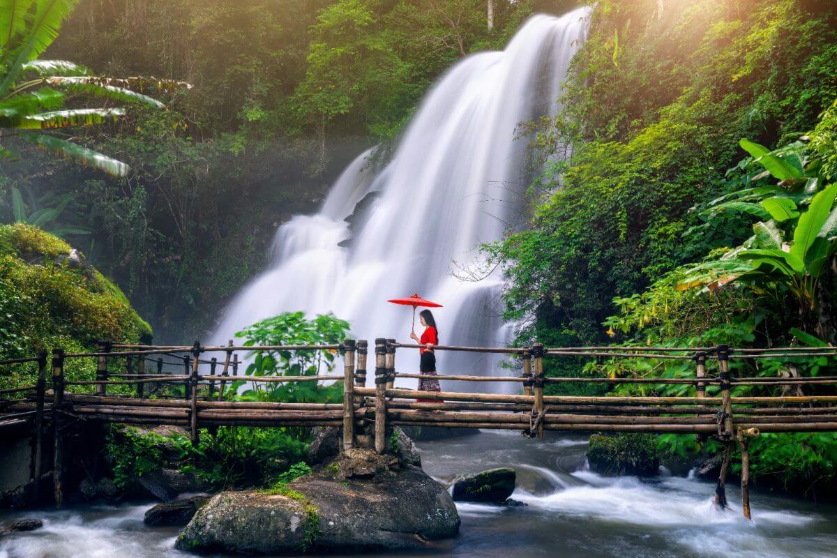 Doi Inthanon & Pha Dok Siew Waterfall Tour | Private Chiang Mai Tour