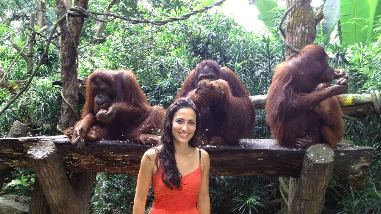 orangutan tour bali