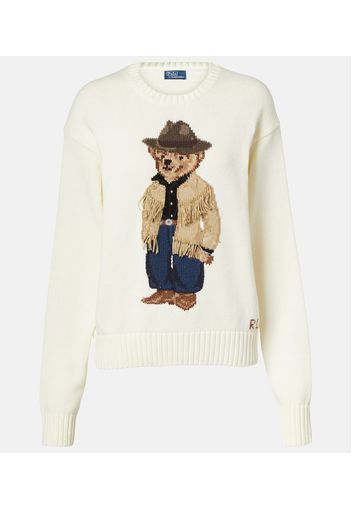 Pullover Polo Bear aus Baumwolle