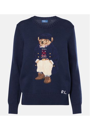 Pullover Polo Bear aus Baumwolle