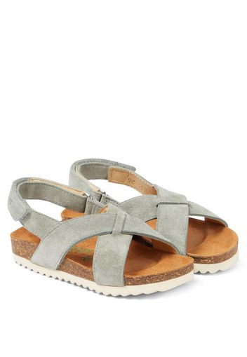 Sandalen Groot Cross aus Veloursleder