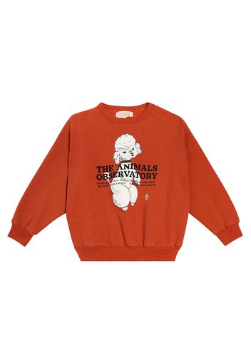 Sweatshirt Big Bear aus Baumwolle