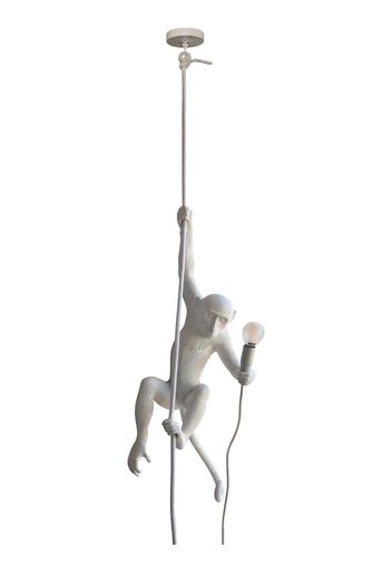 Monkey On A Cord Ceiling Lamp