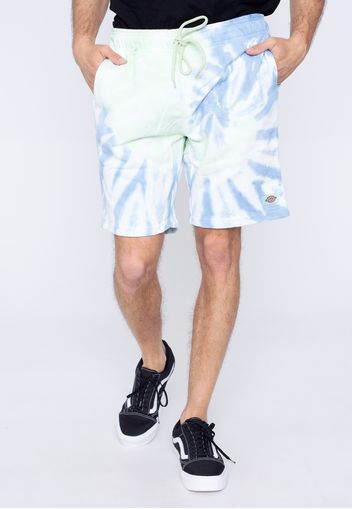 Dickies - Seatac Celadon Green - Shorts