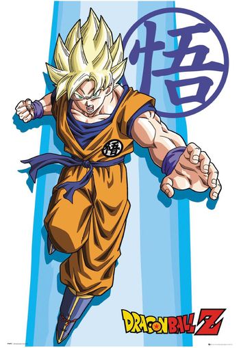 Dragon Ball Z - Ss Goku -