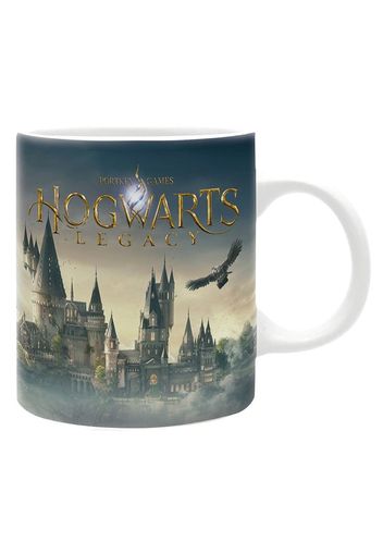 Harry Potter - Hogwarts Legacy Castle -