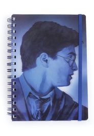 Harry Potter - Magic Portrait 3D Cover -