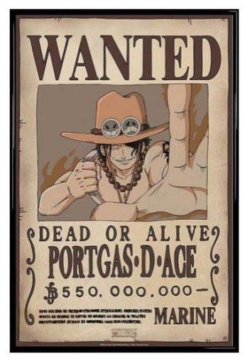 One Piece - Wanted Ace -