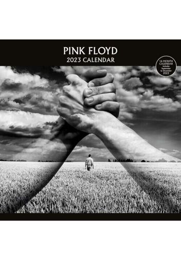 Pink Floyd - Album Cover: 2023 -