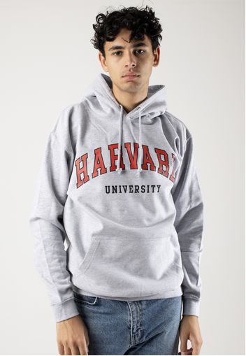 Universities - Harvard University Script Heather Grey - Hoodies