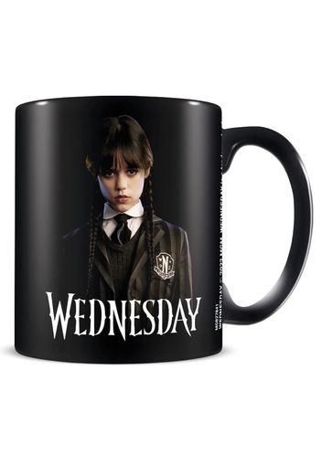 Wednesday Addams - Friendship -